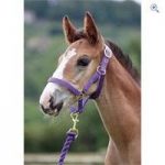Shires Wessex Headcollar and Lead Rope Set – Size: COB – Colour: Purple