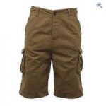 Regatta Kean Men’s Shorts – Size: 38 – Colour: IRON