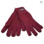 ProClimate Women’s Acrylic Thinsulate Gloves – Colour: Damson