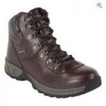 Freedom Trail Derwent III Men’s Waterproof Walking Boots – Size: 9 – Colour: Brown