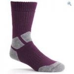 Berghaus Explorer Women’s Socks – Size: 7-8.5 – Colour: Dark Purple