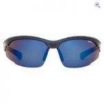 Sinner Crane Sunglasses (Blue Revo) – Colour: Black / Blue