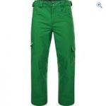 Dare2b Men’s Stand In Awe Pant – Size: XL – Colour: TREK GREEN