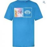 Animal Boys’ Primo T-shirt (13-16) – Size: 15-16 – Colour: Kingfisher Blue