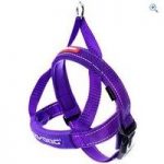 EzyDog Quick Fit Harness (XS) – Colour: Purple