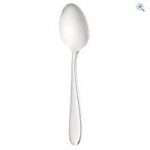 Harbenware Steel Spoon