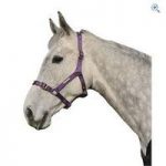 Cottage Craft Adjustable Riding Headcollar – Size: PONY – Colour: Purple